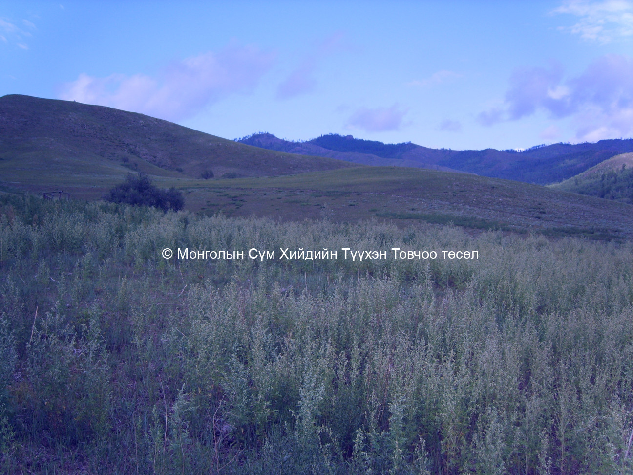 Баруун-Өмнөд талаас авсан